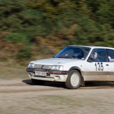 tempest-rally-2012-298